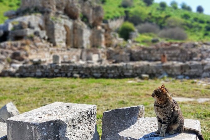 All Inclusive Private Half-Day Ephesus and Sirince Village Tour with Lunch - Private Guide, Transport, and a Pace Built for Photos