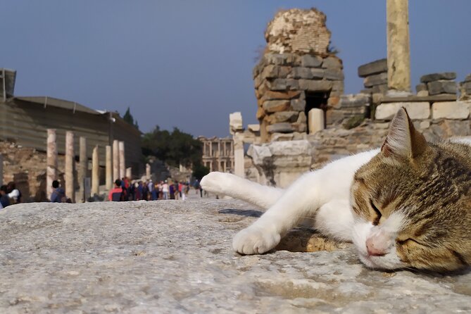 Best of Ephesus Tour From Kusadasi: Temple of Artemis, St John Basilica, Isa Bey Mosque - Isa Bey Mosque: a short stop with big visual payoff