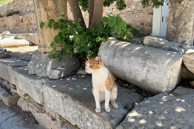 Customize Your Ephesus Trip With Your Guide & Vehicle - Getting from your hotel or the port, and starting on time