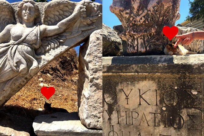 Customized Private Ephesus Tour & Farm Lunch - Ephesus Ancient City: your guided walk through Roman remains