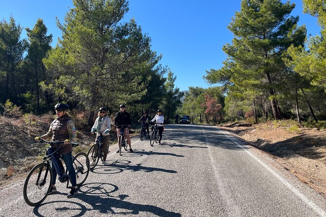 Cycling Through Vineyards & Farm Lunch & Ephesus visit - Price and value: why $149 can make sense here