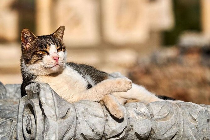 Daily Ephesus and Virgin Mary House Tour with Lunch Included - Price and what you truly get for $130.66