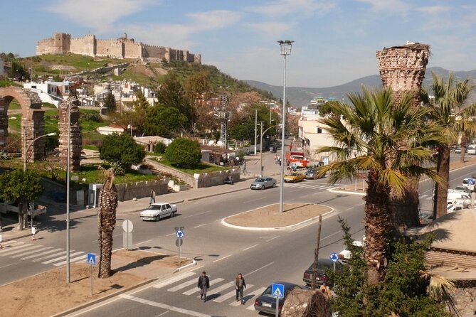 Ephesus and House of Mary from Kusadasi Cruise Port - Guide quality can make or break the day (and I’d plan around it)