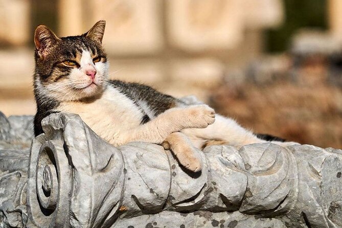 Ephesus and Virgin Mary House Private Tour with Lunch and Pickup - Selcuk First: The Quiet Warm-Up Before Ephesus