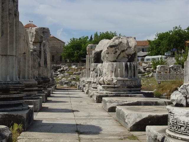 Ephesus, Priene, Miletos and Didyma Tour - Didyma: Apollo’s Temple, Three Columns, and a Sacred Way Feeling