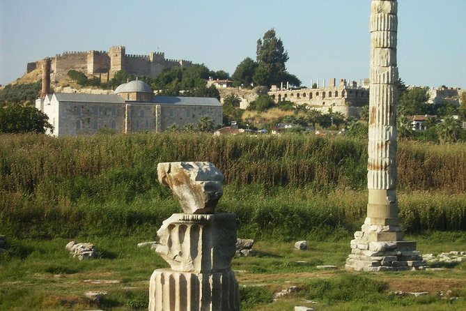 Ephesus Private & Mini Group Shore Excursions - Skip The Lines - Temple of Artemis: a quick Seven Wonders moment and then back to town
