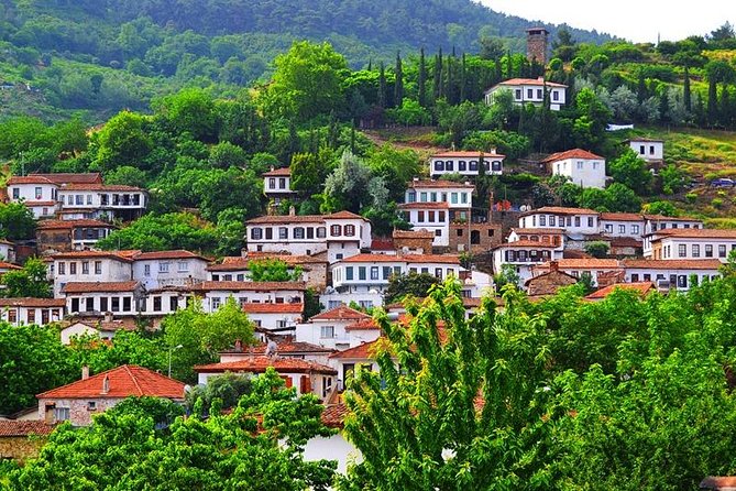 Ephesus Tour from Kusadasi Port - NO SHOPPING STOPS, Guaranteed - Ancient City of Ephesus: the highlights you can actually see in 1 hour 45