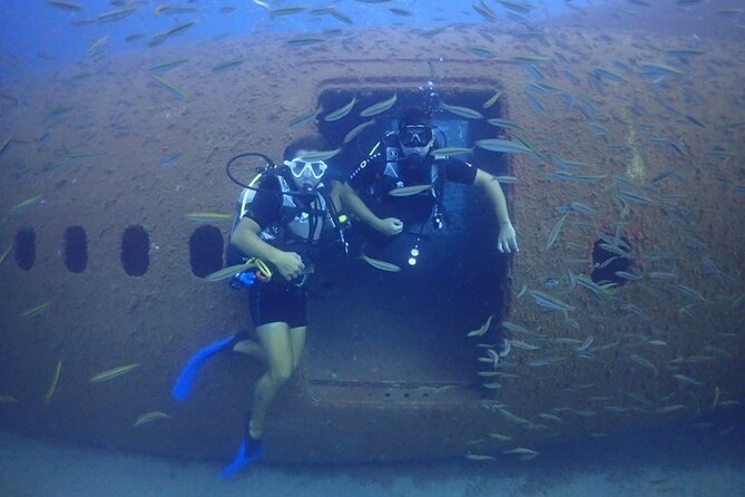 Explore World's Largest Plane Wreck by Scuba Diving in Kusadasi - Key Points Before You Go