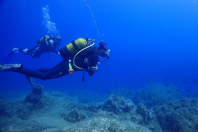 Explore World's Largest Plane Wreck by Scuba Diving in Kusadasi - Timing, Group Size, and Physical Readiness