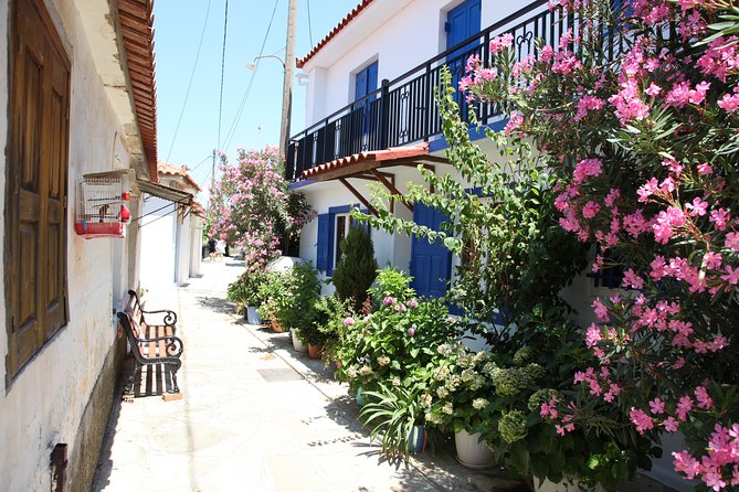 Ferry to Samos from Kusadasi - Price and Value: What $119 Really Buys You