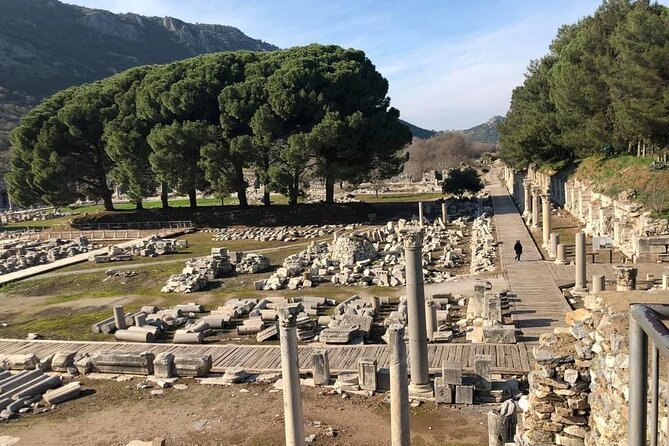 FOR CRUISERS: Private Ephesus Tour with GUARANTEED ON-TIME RETURN - The Ephesus Ruins Route: From Celsus Library to the Grand Theatre