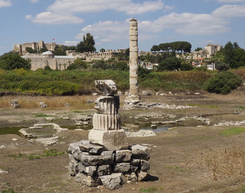 From Kusadasi or Selcuk: Full-Day Ephesus Tour with Lunch - Price and Value: Is $90 a Good Deal for an 8-Hour Ephesus Day?