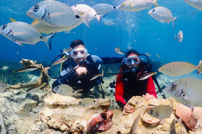 Guided Scuba Diving Experience in Kusadasi - Key Things That Make This Experience Worth Your Time