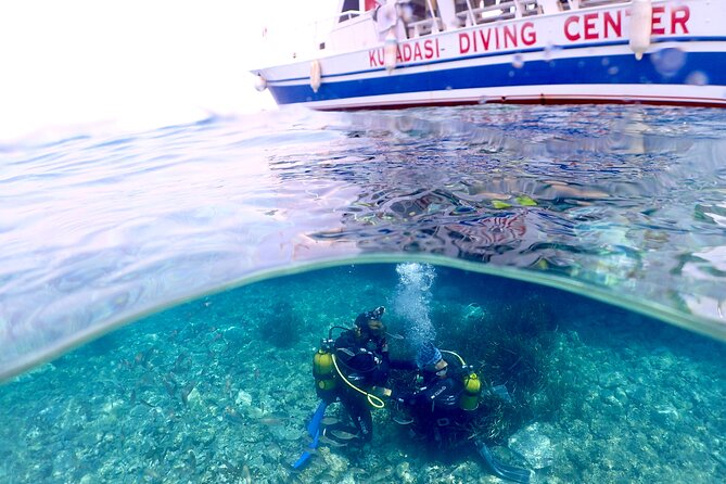 Guided Scuba Diving Experience in Kusadasi - Why Kusadasi Works So Well for a First Scuba Session