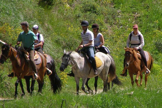 Horse Riding From Kusadasi Port / Hotels - A 3-Hour Horse Safari from Kusadasi to Pamucak Beach