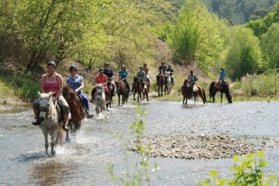 Horse Riding From Kusadasi Port / Hotels