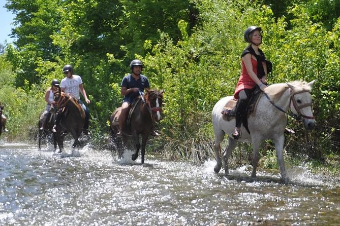 Horse Riding From Kusadasi Port / Hotels - Sea Time at Pamucak: Swim Option, Controlled Water Moments, Set Your Expectations