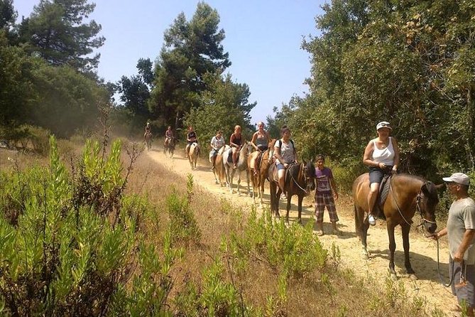 Horseback Riding From Kusadasi Port For Cruise Guests - Who this tour suits best
