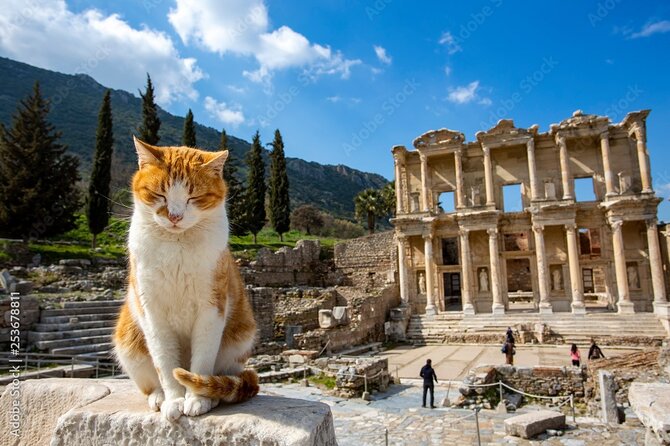 Journey to Ancient Wonders: Explore Ephesus with a Private Tour - Temple of Artemis, One of the Seven Wonders in Plain Sight
