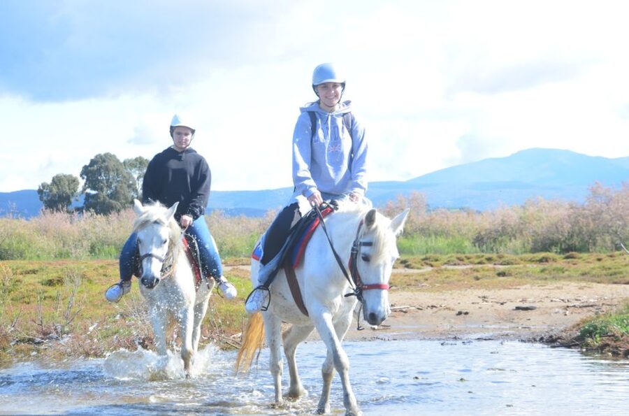 Kusadasi: Beach and Forest Horse Riding Tour - Key Points Before You Go