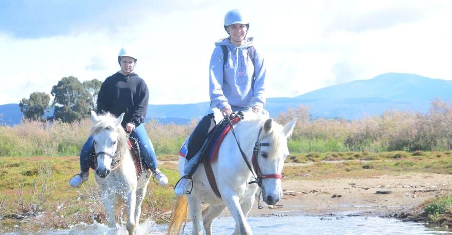 Kusadasi: Beach and Forest Horse Riding Tour - A Horse Ride That Feels Like a Real Kusadasi Day Trip