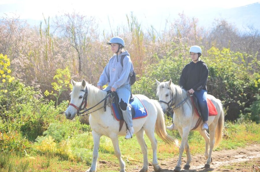 Kusadasi: Beach and Forest Horse Riding Tour - Getting Comfortable on Your Horse, Even If You Have Never Ridden