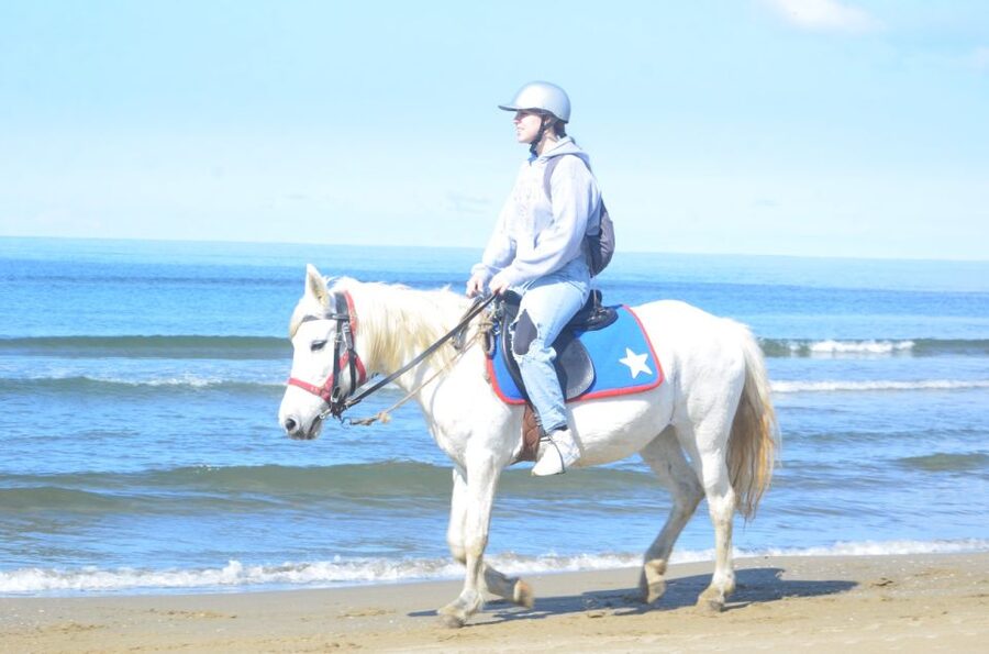 Kusadasi: Beach and Forest Horse Riding Tour - Should You Book This Kusadasi Horse Riding Tour?