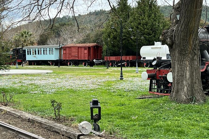 Kusadasi Day Trips Magnesia, Train Museum Turkish Bath - Anadolu Rug Workshop, Seeing Carpets Made and Then Eating Kebab Lunch