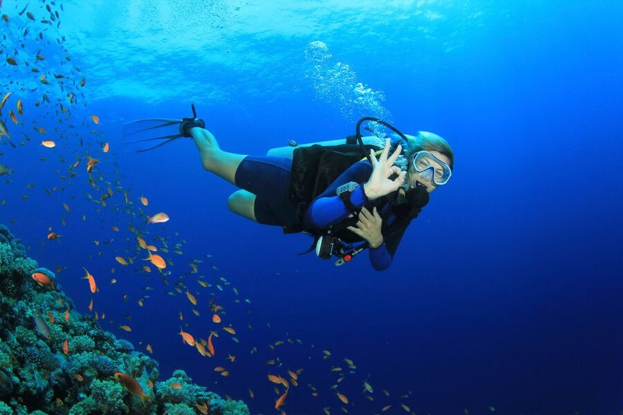 Kusadasi: Diving Experience with Lunch and Transfer - Kusadasi’s first-timer scuba setup, without the pressure