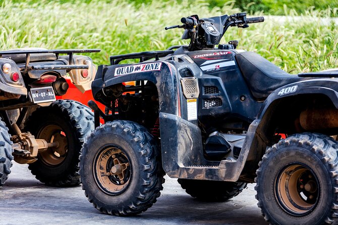Kusadasi Half Day Quad Safari Experience With Free Hotel Transfer - The 4-hour plan: pickup, pine forest start, Pamucak Beach finish