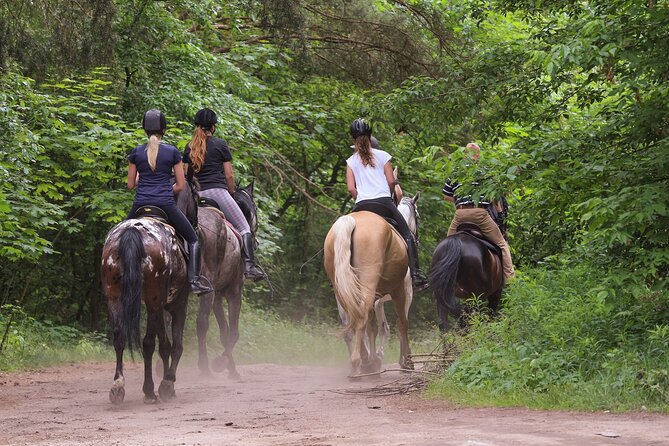 Kusadasi Horse Riding Beach and Forest options with Transfer - Key Highlights to Know Before You Go