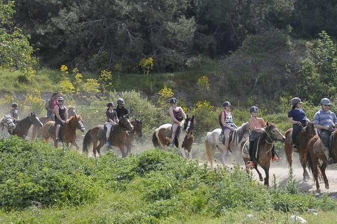 Kusadasi Horse Riding Beach and Forest options with Transfer - Riding the Forest Trails and Getting Coast Views