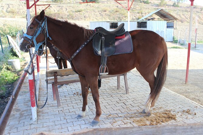 Kusadasi Horse Riding Beach and Forest options with Transfer - The 15-Minute Briefing, Helmet Rules, and Staying Comfortable
