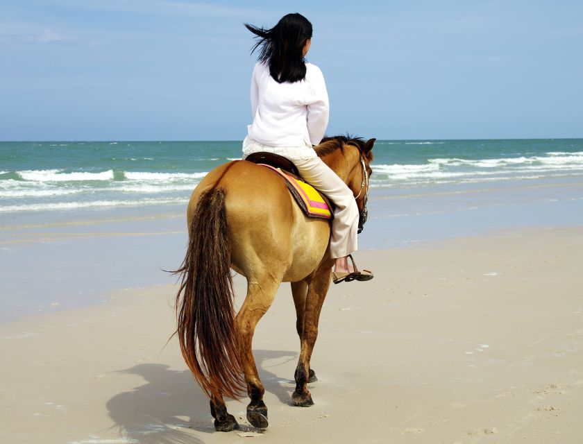 Kusadasi: Horse Riding Beach and Forest w/Transfer - Key highlights at a glance