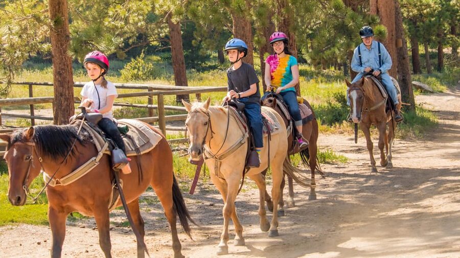 Kusadasi: Horse Riding Beach and Forest w/Transfer - Horse riding in Kusadasi, pine shade to sea breeze
