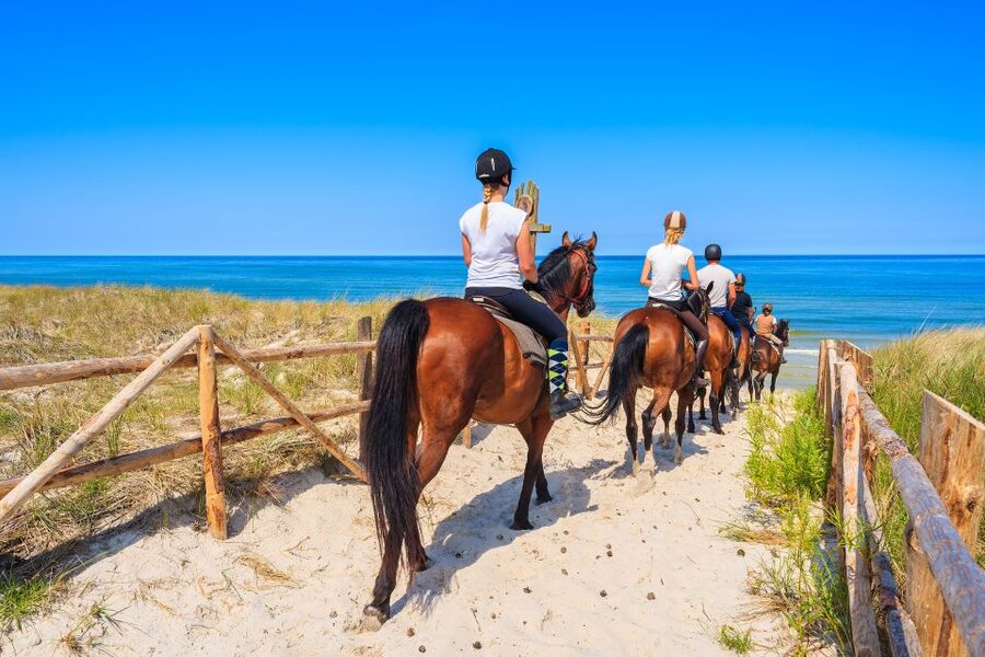 Kusadasi: Horse Riding Beach and Forest w/Transfer - Should you book this Kusadasi horseback ride?