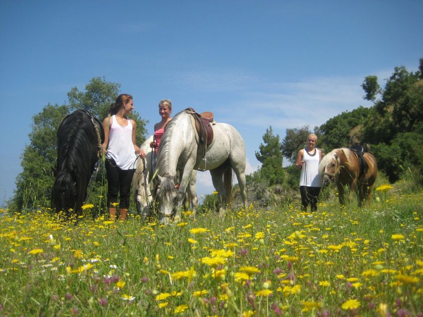 Kusadasi: Horse Riding Beach and Forest w/Transfer - FAQ