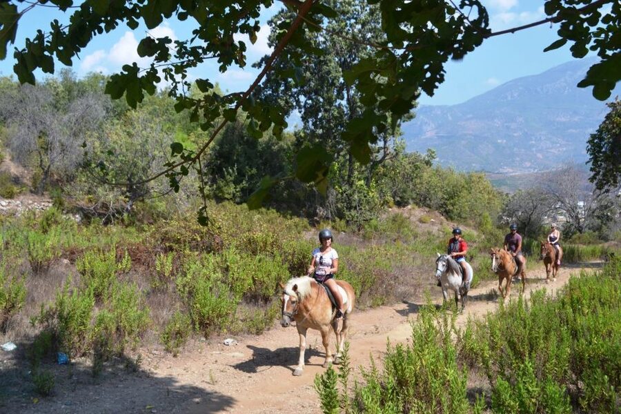 Kusadasi: Horse Riding Beach and Forest w/Transfer - From hotel pickup to the ranch, what to expect with transfer