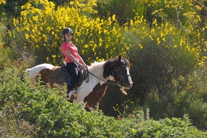 Kusadasi Horse Riding On Beach And Through The River - The riverbed segment: changing footing and changing scenery