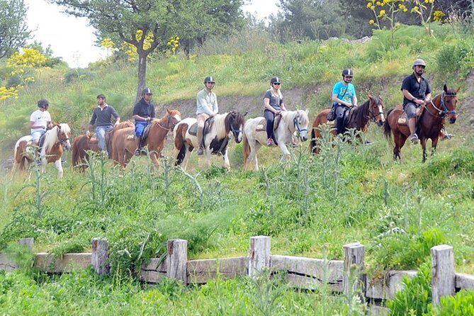 Kusadasi Horse Riding On Beach And Through The River - The sea stop and bareback possibility
