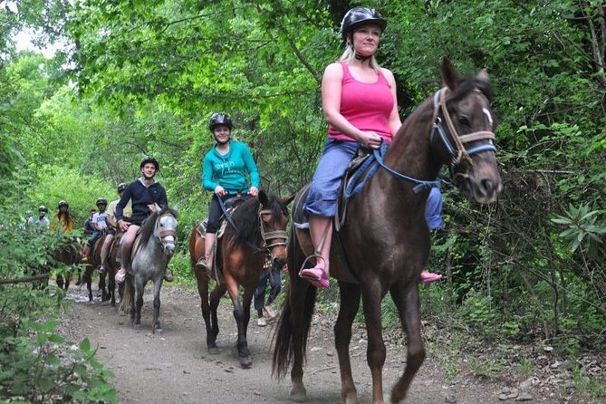 Kusadasi Horseback Riding - Swimming vs. Gallop: Choose Your Comfort Level
