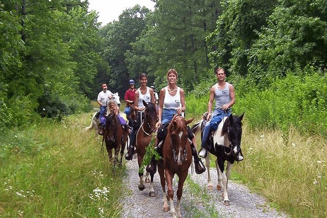 Kusadasi Horseback Riding - Wildlife Moments: Why the Beach Route Can Surprise You