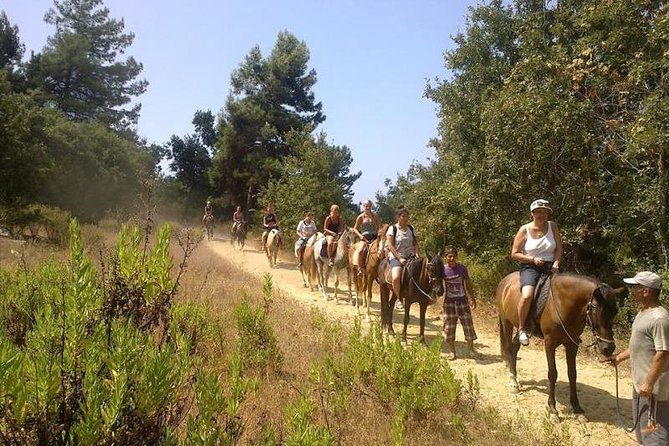 Kusadasi Horseback Riding - Price and Value: Is $48.24 Worth It?