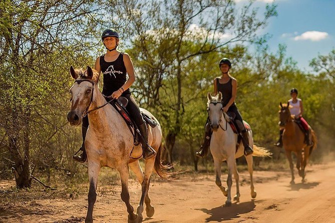 Kusadasi Horseback Riding - Timing Tips for Cruisers and Tight Days