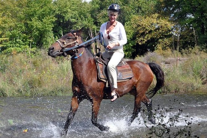 Kusadasi Horseback Riding - Horses, Helmets, and Safety: What You Are Getting (and What You Should Watch)