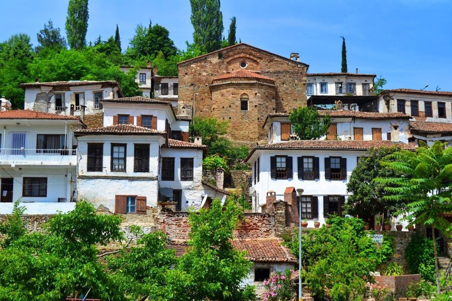 Kusadasi or Selcuk: Full-Day Ephesus Tour with Lunch - Temple of Artemis: One of the Seven Wonders, Up Close
