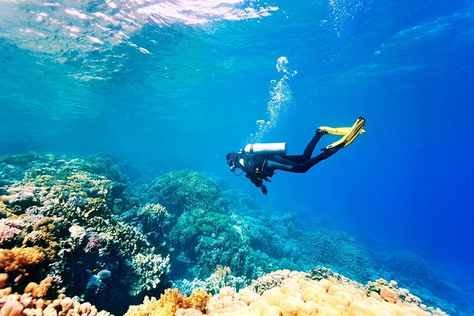 Kusadasi Scuba Diving Experience w/Instructor incl. Transfer - Key Takeaways Before You Go