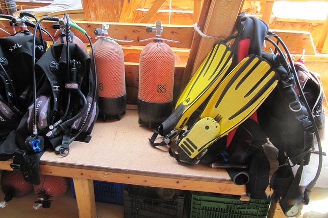 Kusadasi Scuba Diving Experience w/Instructor incl. Transfer - Pickup and Timing: How the 4 Hours Actually Play Out