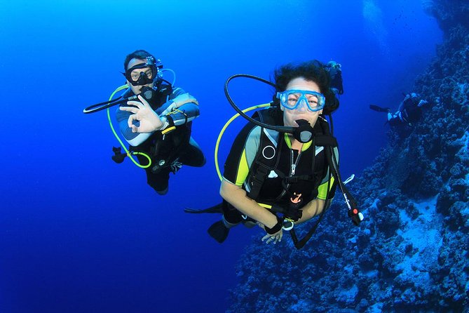 Kusadasi Scuba Diving Experience w/Instructor incl. Transfer - Lunch on the Schedule: Fuel for a Smooth Morning