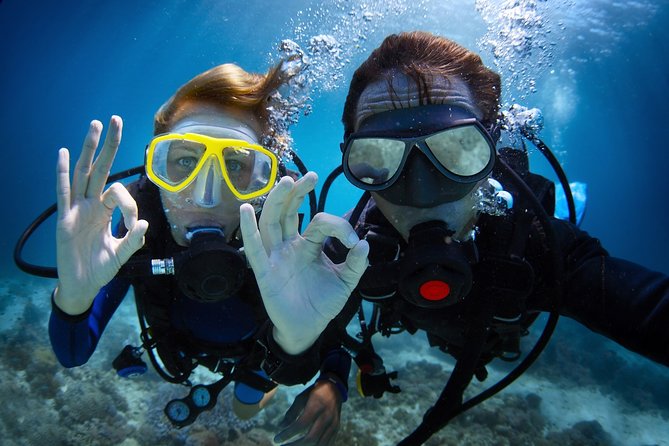 Kusadasi Scuba Diving Experience w/Instructor incl. Transfer - Photos and Souvenirs: Plan for an Extra Purchase
